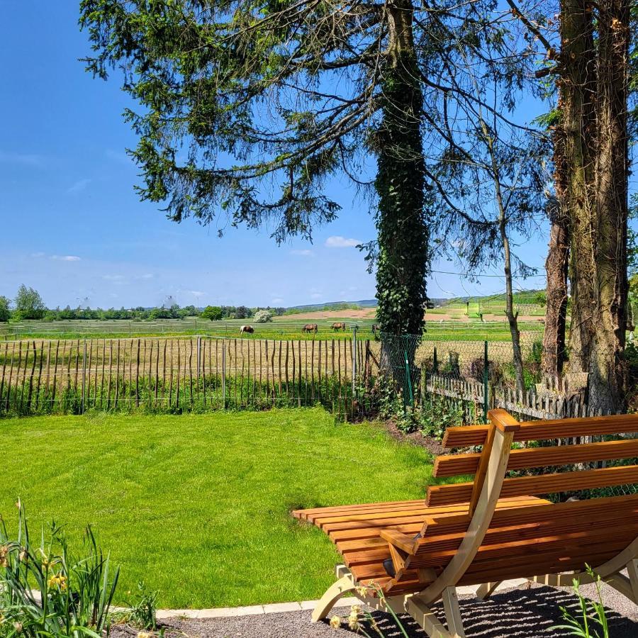Komfort Ferienwohnungen Mit Wellness-Garten - Gaestehaus Am Bachlauf - Losheim Am See Exterior photo